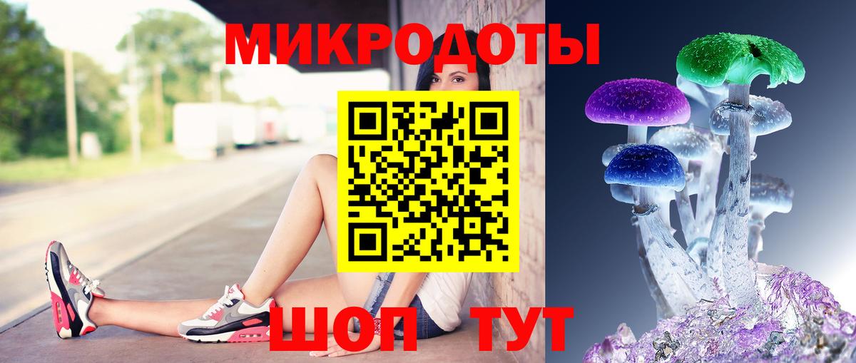Богданович  Псилоцибиновые грибы GOLDEN TEACHER  Вход с VPN 